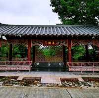 粉嶺輕鬆半日遊