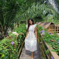 🏡บ้านไร่ ไออรุณ🌸🌺🌳