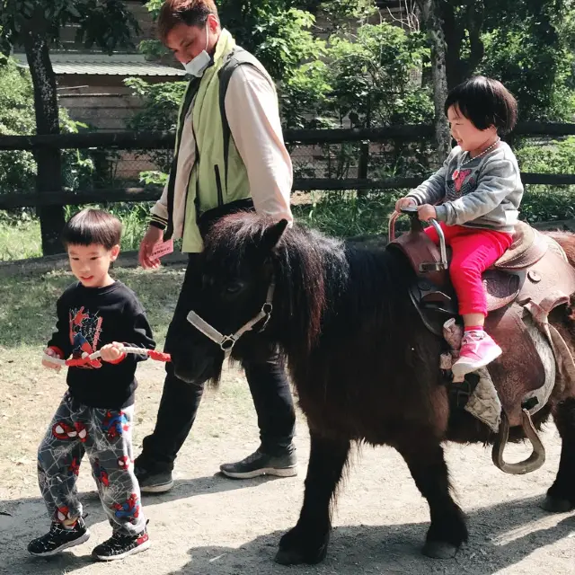 南台灣最大的野生動物園