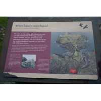 Tintagel Castle
