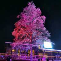 Santa Claus Village in Lapland Finland 