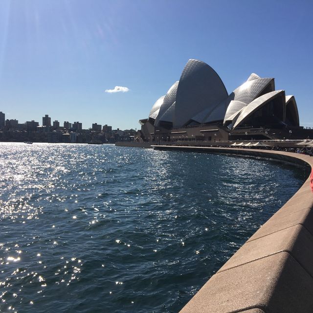 Sydney opera house