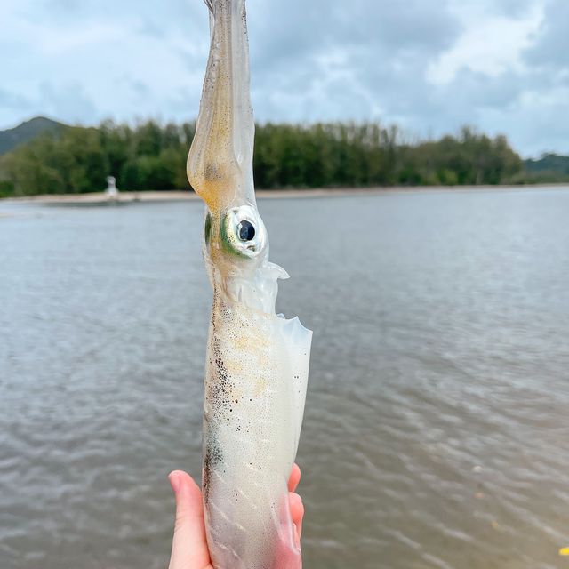 ไปลิบง .. ลงเรือ ตกหมึก กันเถอะ 🦑