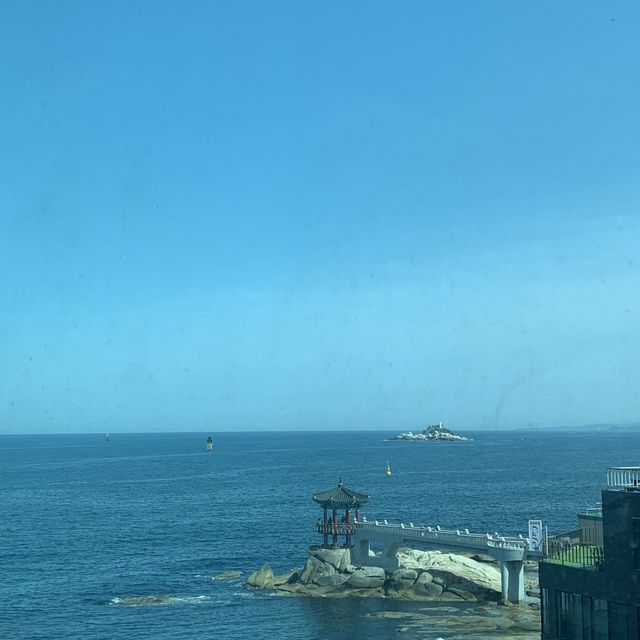 [숙소 추천] 오션뷰가 끝내주는🌊 속초 트레블 호텔
