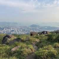 妙高台 ⛰️ 香港嘅瑞士？！