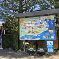 天橋立　傘松公園