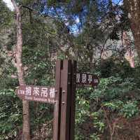 谷關//捎來步道