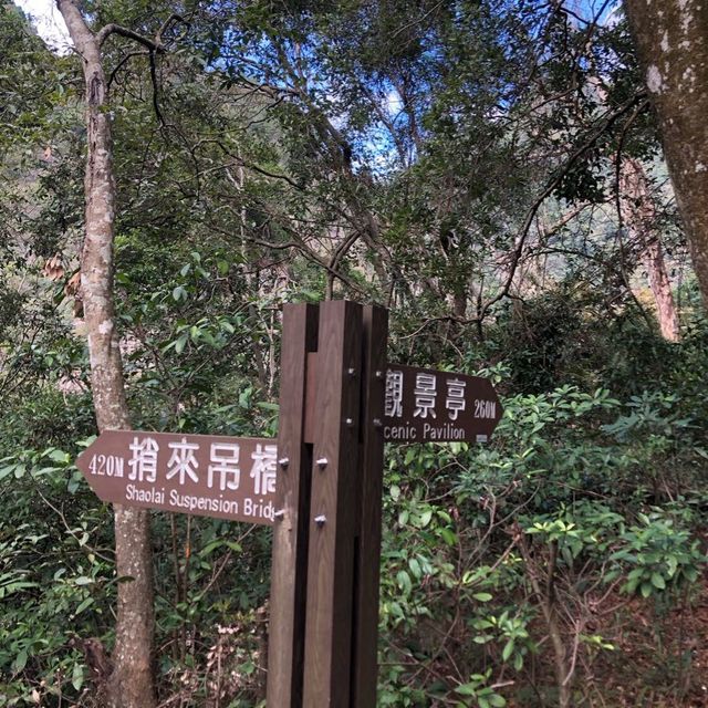 谷關//捎來步道 谷關//捎來步道