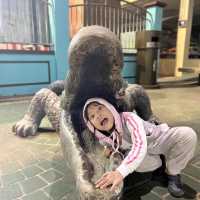 Night Safari Zoo Taiping
