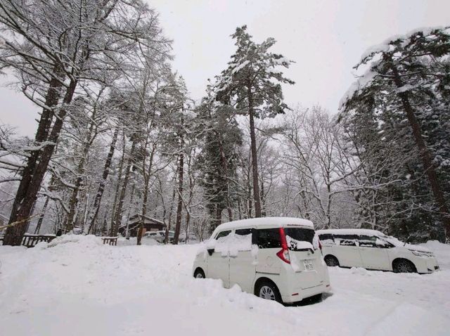 日本長野縣滑雪舒適之旅 在白馬萬怡酒店迎接白色冬日
