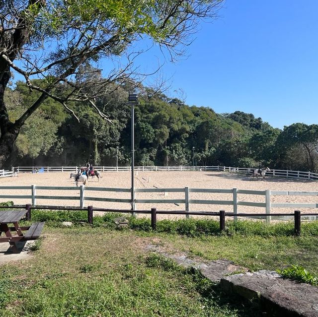 無敵開揚360 度海景，易行BB 路線
