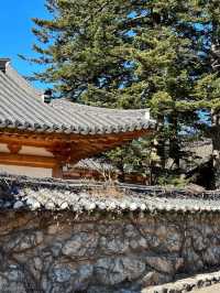 겨울 등산! 설악산에 다녀왔어요.