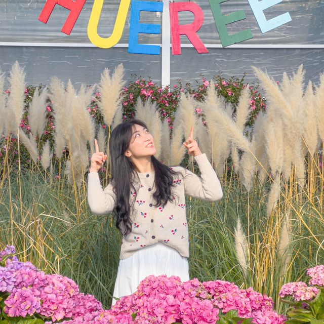 제주도는 아직도 동백가득🌺