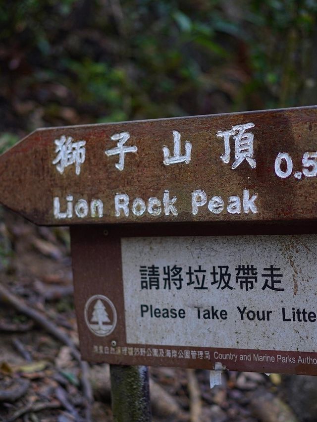 香港行山丨 登頂賞360度無敵景📍獅子山