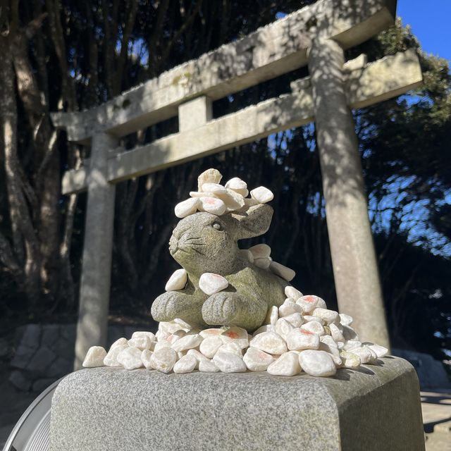2023年は卯年！白兎神社への参拝