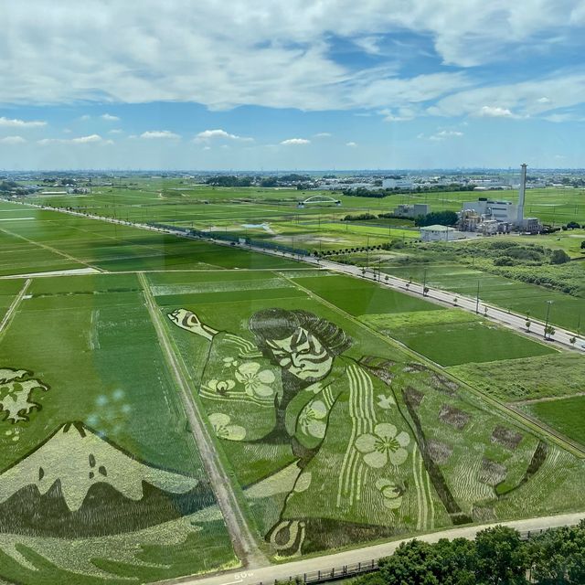 世界最大の田んぼアート