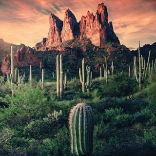 Arizona USA