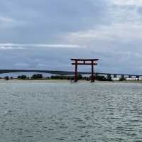 徳川家康ゆかりの地、岡崎and浜松