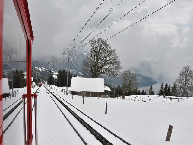 ราชินีแห่งขุนเขา Rigi 🇨🇭