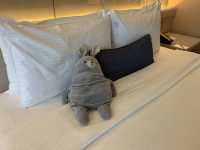 MBS CLUB ROOM 