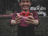 🍓ไร่สามพี่น้อง @วังน้ำเขียว