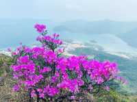吊手岩