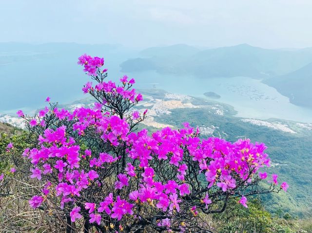 吊手岩