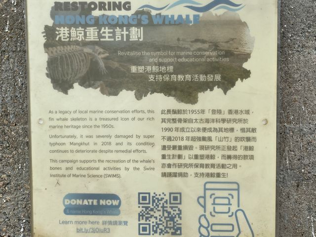 鶴咀行山路線🌊新手必睇👍🏻
