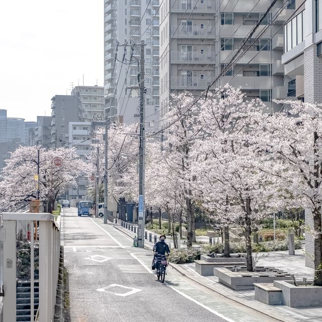 目黒川不動前付近からの景色