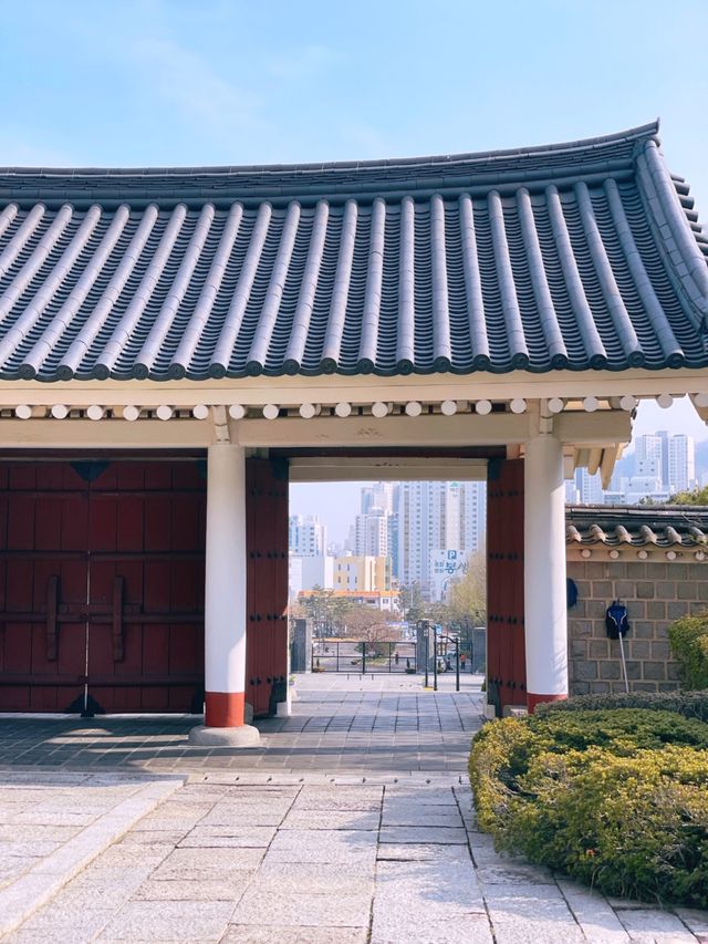 능소화가 만개한 부산 충렬사의 봄,여름