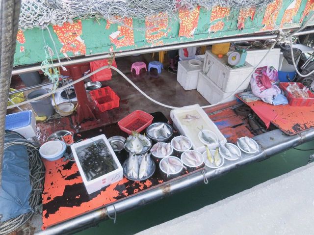 看花食海鮮買海味一條龍 - 屯門黃金海岸