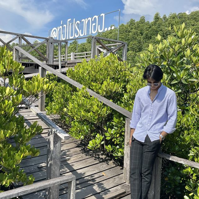 ทุ่งโปร่งทอง