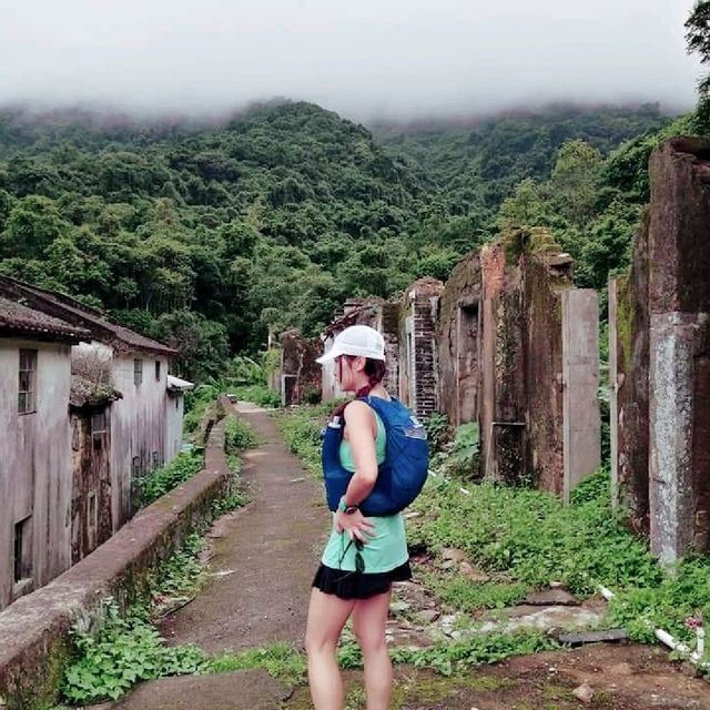與♡果子狸♡同行