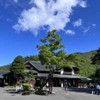 【栃木】日本三大名瀑の1つ！華厳の滝