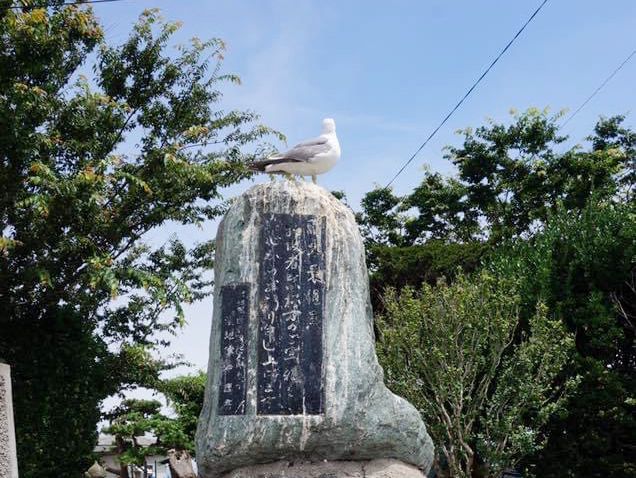 青森縣最北端的㊙️景👉🏻👉🏻蕪島📸️ ‘海鷗島’