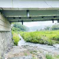 【鳥取県:三朝】三徳川のすぐそばを流れる三朝温泉のシンボル河原風呂。