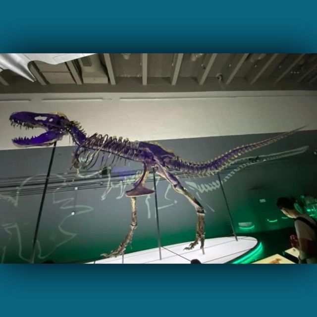 恐龍🦕🦖出沒注意⚠️