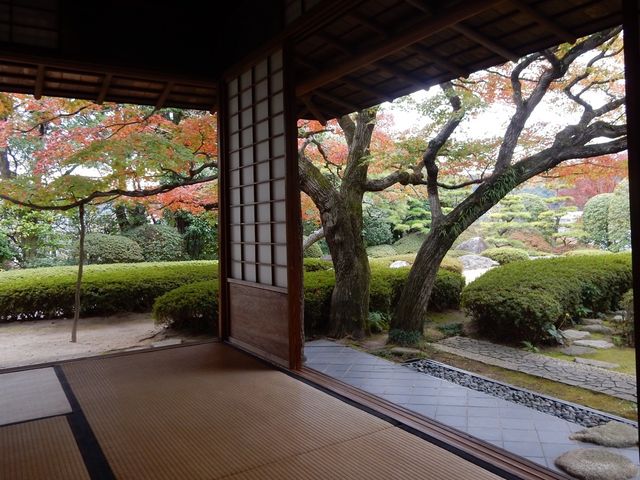 【福岡】動植物園近くの日本庭園