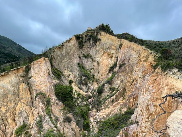 青山腹地行山路線青松紅壑