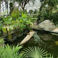 On The Next Level: Jewel Changi Airport 