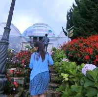 Dalat Flower Garden