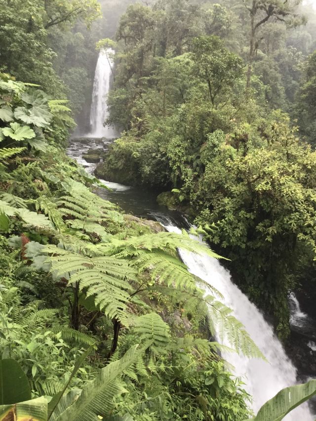 5 falls in one rainforest 😱