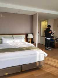통영 스탠포드 호텔앤리조트, 생각보다 넓었던 디럭스 더블룸🏨