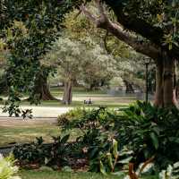 Royal Botanic Garden Sydney
