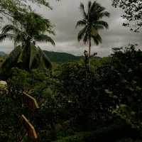 Camp Site in Tanay