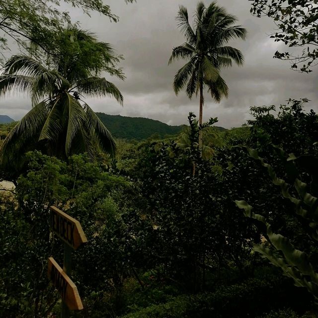 Camp Site in Tanay