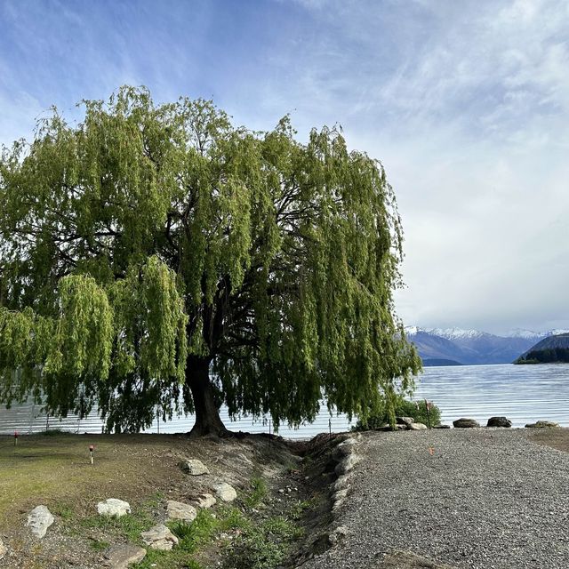 NZ 紐西蘭 南島 Wanaka