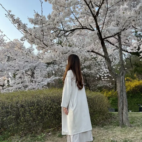 韓国/ソウル【江北区】ソウル西側の大きな公園🌸