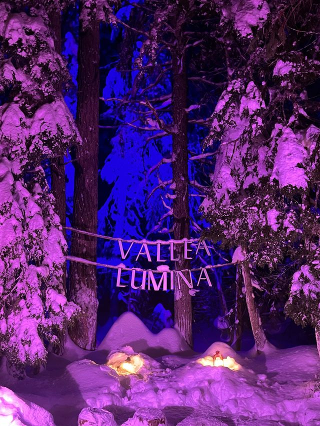 캐나다 겨울 눈꽃 불빛축제는 휘슬러 Vallea Lumina ❄️ 