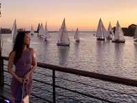 Unforgettable boat racing experience in MDR